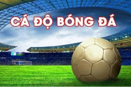 Tổng hợp 9 kinh nghiệm cược bóng đá luôn thắng